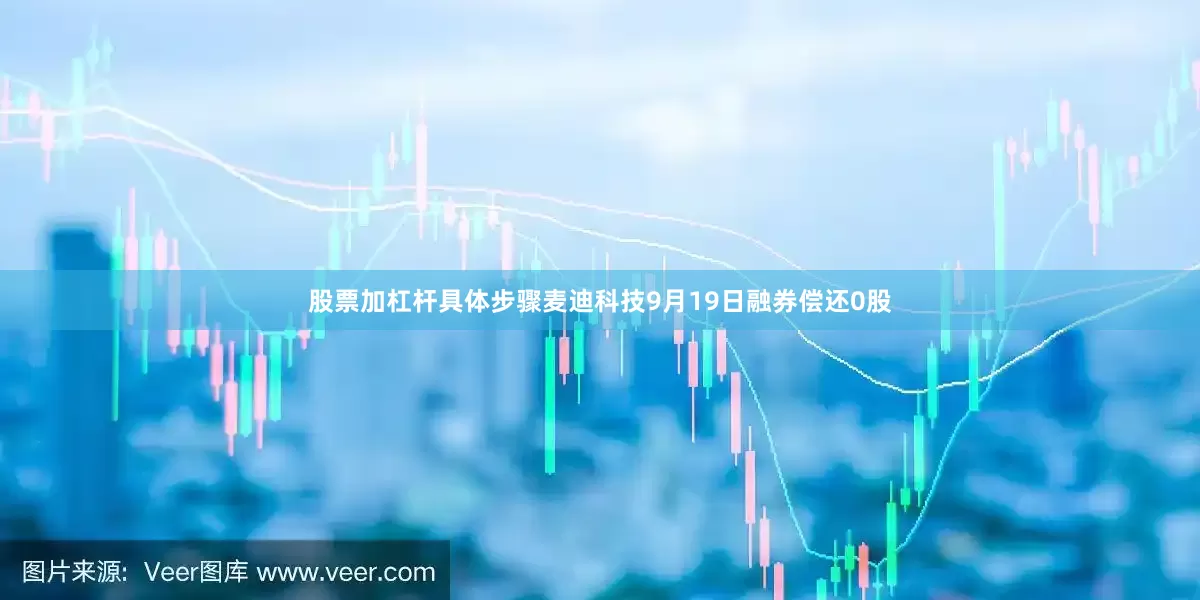 股票加杠杆具体步骤麦迪科技9月19日融券偿还0股